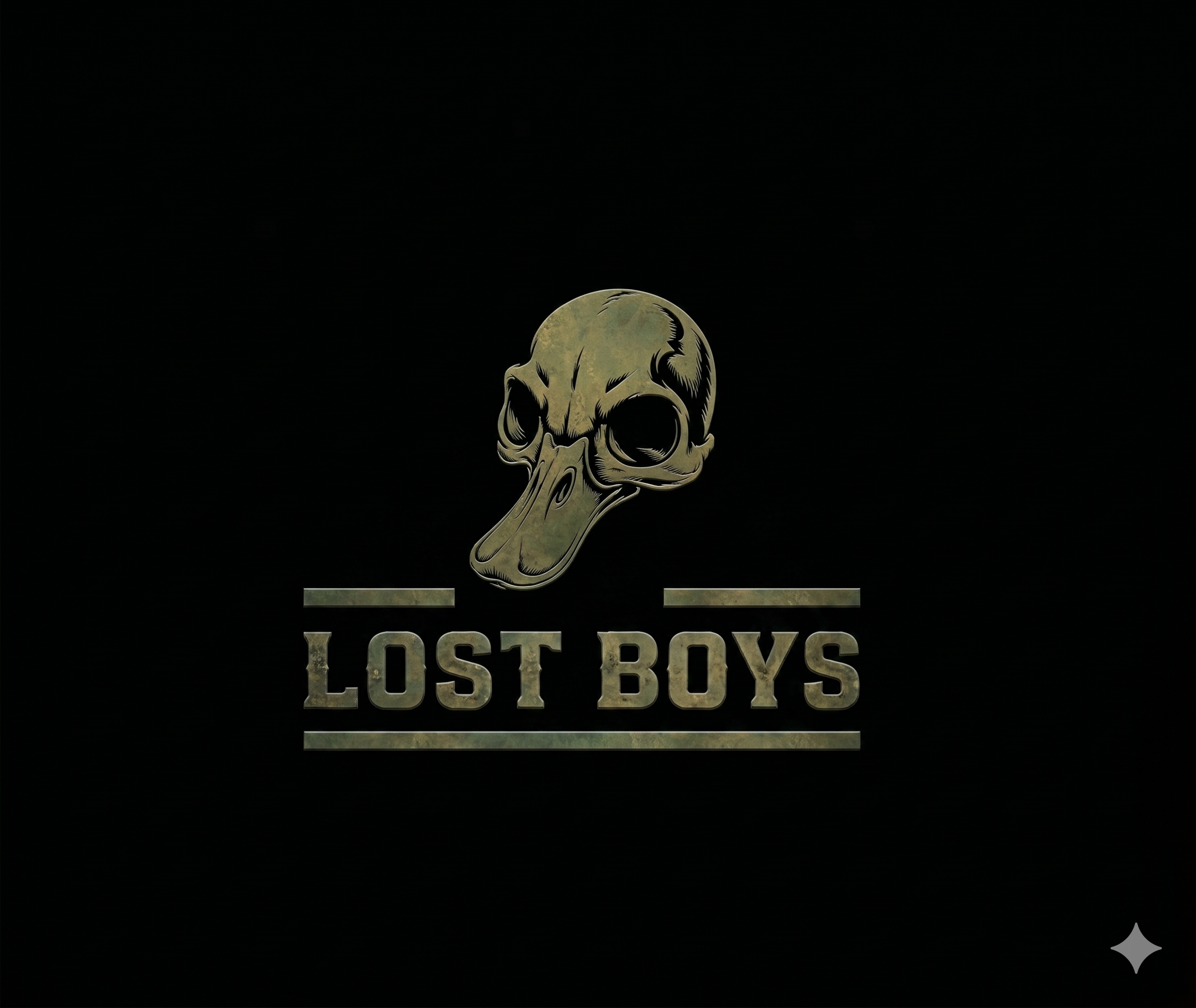 Logo with a skull design and 'Lost Boys' text on a black background