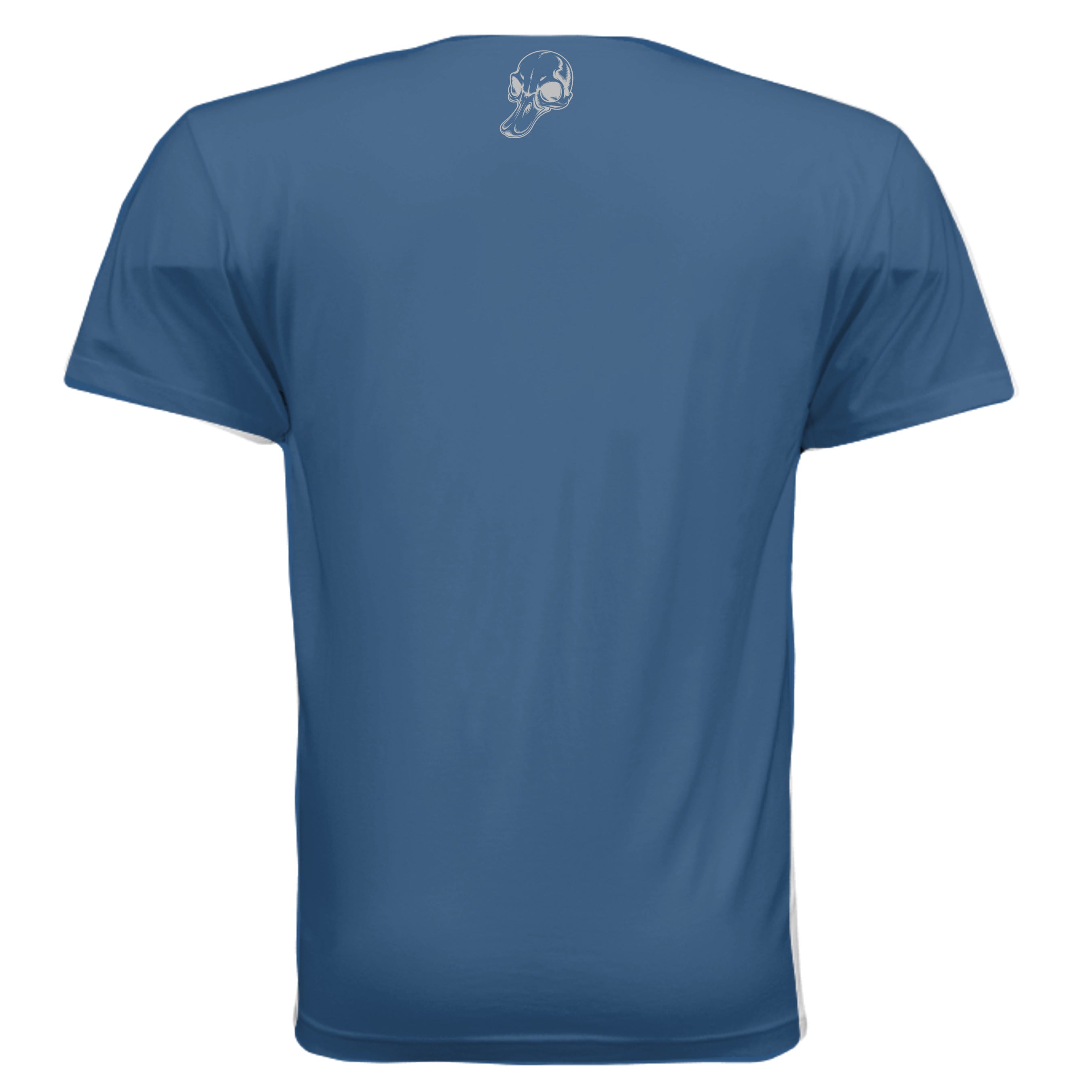 COOL BLUE - 6410 - BACK